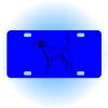 Copy of Personalized 3 X 6 Heavy Duty Acrylic / Plastic License Plate Thumbnail