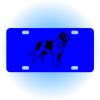 Copy of Personalized 3 X 6 Heavy Duty Acrylic / Plastic License Plate Thumbnail