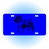 Copy of Personalized 3 X 6 Heavy Duty Acrylic / Plastic License Plate Thumbnail