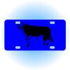 Copy of Personalized 3 X 6 Heavy Duty Acrylic / Plastic License Plate Thumbnail