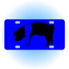 Copy of Personalized 3 X 6 Heavy Duty Acrylic / Plastic License Plate Thumbnail