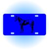 Copy of Personalized 3 X 6 Heavy Duty Acrylic / Plastic License Plate Thumbnail
