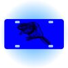 Copy of Personalized 3 X 6 Heavy Duty Acrylic / Plastic License Plate Thumbnail