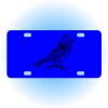 Copy of Personalized 3 X 6 Heavy Duty Acrylic / Plastic License Plate Thumbnail