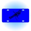 Copy of Personalized 3 X 6 Heavy Duty Acrylic / Plastic License Plate Thumbnail