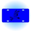 Copy of Personalized 3 X 6 Heavy Duty Acrylic / Plastic License Plate Thumbnail