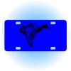Copy of Personalized 3 X 6 Heavy Duty Acrylic / Plastic License Plate Thumbnail