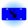 Copy of Personalized 3 X 6 Heavy Duty Acrylic / Plastic License Plate Thumbnail