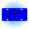 Copy of Personalized 3 X 6 Heavy Duty Acrylic / Plastic License Plate Thumbnail