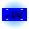 Copy of Personalized 3 X 6 Heavy Duty Acrylic / Plastic License Plate Thumbnail