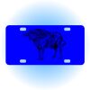 Copy of Personalized 3 X 6 Heavy Duty Acrylic / Plastic License Plate Thumbnail