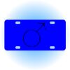 Copy of Personalized 3 X 6 Heavy Duty Acrylic / Plastic License Plate Thumbnail