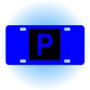 Copy of Personalized 3 X 6 Heavy Duty Acrylic / Plastic License Plate Thumbnail