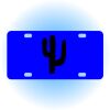 Copy of Personalized 3 X 6 Heavy Duty Acrylic / Plastic License Plate Thumbnail