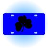 Copy of Personalized 3 X 6 Heavy Duty Acrylic / Plastic License Plate Thumbnail
