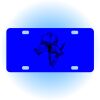 Copy of Personalized 3 X 6 Heavy Duty Acrylic / Plastic License Plate Thumbnail