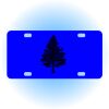 Copy of Personalized 3 X 6 Heavy Duty Acrylic / Plastic License Plate Thumbnail