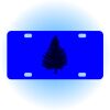 Copy of Personalized 3 X 6 Heavy Duty Acrylic / Plastic License Plate Thumbnail