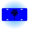 Copy of Personalized 3 X 6 Heavy Duty Acrylic / Plastic License Plate Thumbnail
