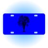 Copy of Personalized 3 X 6 Heavy Duty Acrylic / Plastic License Plate Thumbnail