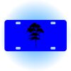 Copy of Personalized 3 X 6 Heavy Duty Acrylic / Plastic License Plate Thumbnail