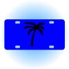 Copy of Personalized 3 X 6 Heavy Duty Acrylic / Plastic License Plate Thumbnail