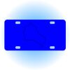 Copy of Personalized 3 X 6 Heavy Duty Acrylic / Plastic License Plate Thumbnail
