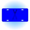 Copy of Personalized 3 X 6 Heavy Duty Acrylic / Plastic License Plate Thumbnail