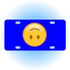 Copy of Personalized 3 X 6 Heavy Duty Acrylic / Plastic License Plate Thumbnail