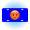 Copy of Personalized 3 X 6 Heavy Duty Acrylic / Plastic License Plate Thumbnail
