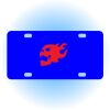 Copy of Personalized 3 X 6 Heavy Duty Acrylic / Plastic License Plate Thumbnail