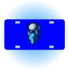 Copy of Personalized 3 X 6 Heavy Duty Acrylic / Plastic License Plate Thumbnail