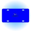 Copy of Personalized 3 X 6 Heavy Duty Acrylic / Plastic License Plate Thumbnail