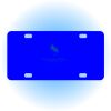 Copy of Personalized 3 X 6 Heavy Duty Acrylic / Plastic License Plate Thumbnail