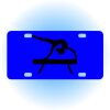 Copy of Personalized 3 X 6 Heavy Duty Acrylic / Plastic License Plate Thumbnail