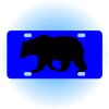 Copy of Personalized 3 X 6 Heavy Duty Acrylic / Plastic License Plate Thumbnail