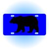 Copy of Personalized 3 X 6 Heavy Duty Acrylic / Plastic License Plate Thumbnail