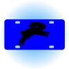 Copy of Personalized 3 X 6 Heavy Duty Acrylic / Plastic License Plate Thumbnail