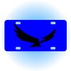 Copy of Personalized 3 X 6 Heavy Duty Acrylic / Plastic License Plate Thumbnail
