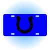 Copy of Personalized 3 X 6 Heavy Duty Acrylic / Plastic License Plate Thumbnail