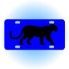 Copy of Personalized 3 X 6 Heavy Duty Acrylic / Plastic License Plate Thumbnail