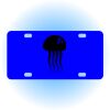 Copy of Personalized 3 X 6 Heavy Duty Acrylic / Plastic License Plate Thumbnail