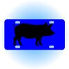 Copy of Personalized 3 X 6 Heavy Duty Acrylic / Plastic License Plate Thumbnail