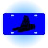 Copy of Personalized 3 X 6 Heavy Duty Acrylic / Plastic License Plate Thumbnail