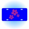Copy of Personalized 3 X 6 Heavy Duty Acrylic / Plastic License Plate Thumbnail