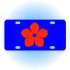 Copy of Personalized 3 X 6 Heavy Duty Acrylic / Plastic License Plate Thumbnail