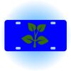 Copy of Personalized 3 X 6 Heavy Duty Acrylic / Plastic License Plate Thumbnail