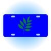 Copy of Personalized 3 X 6 Heavy Duty Acrylic / Plastic License Plate Thumbnail