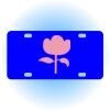 Copy of Personalized 3 X 6 Heavy Duty Acrylic / Plastic License Plate Thumbnail