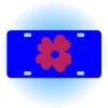 Copy of Personalized 3 X 6 Heavy Duty Acrylic / Plastic License Plate Thumbnail